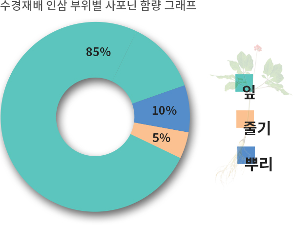 산소수인삼 이미지